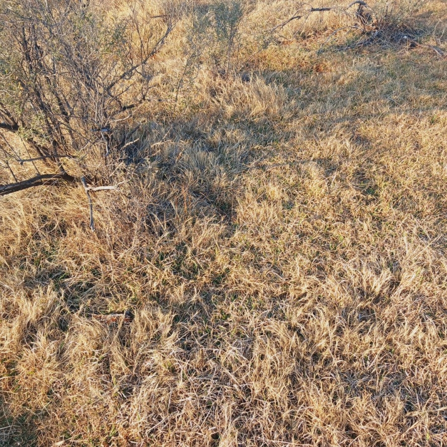 Commercial Property for Sale in Barkly West Rural Northern Cape